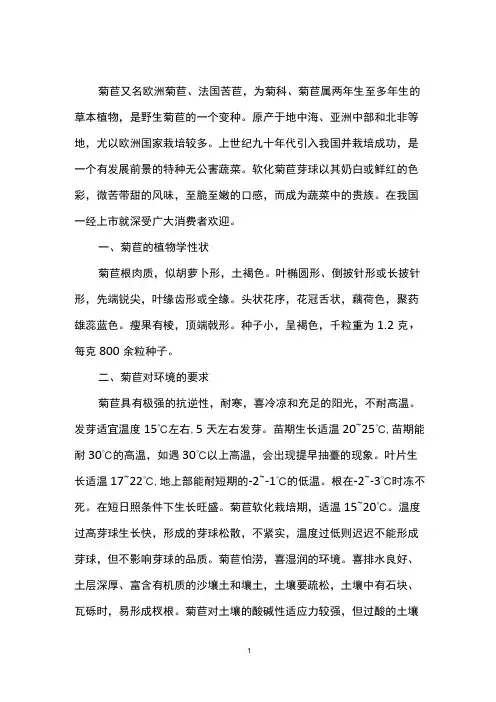 菊苣的栽培技术