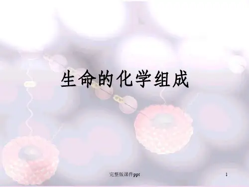 《生命的化学组成》PPT课件