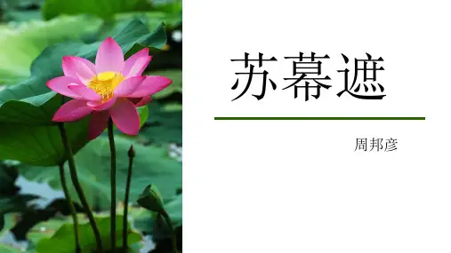 《苏幕遮》公开课优秀课件