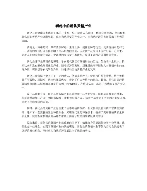 崛起中的新化黄精产业