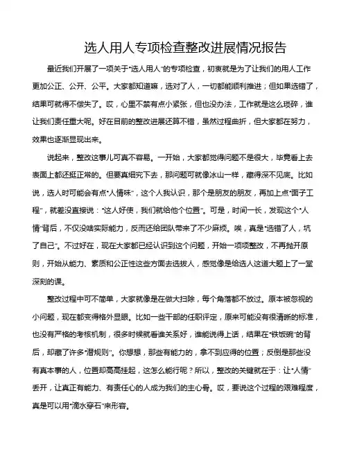 选人用人专项检查整改进展情况报告