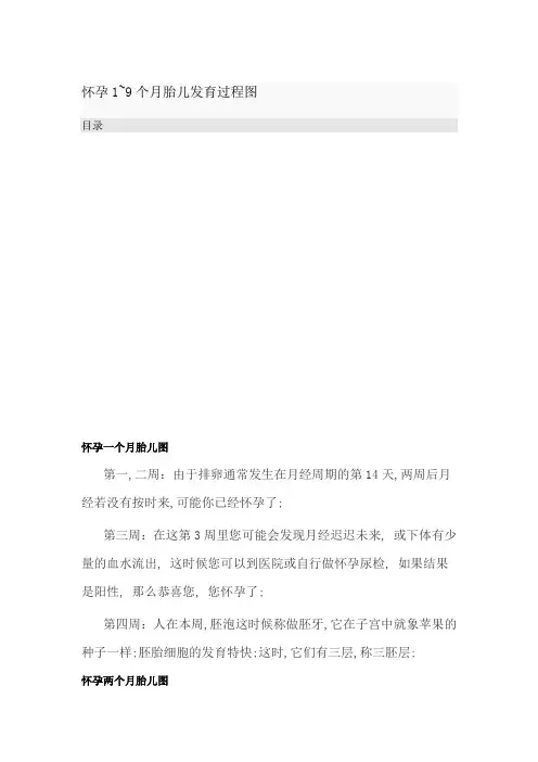 怀孕个胎儿发育过程图