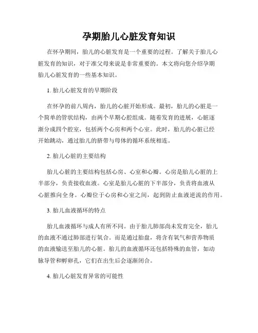 孕期胎儿心脏发育知识