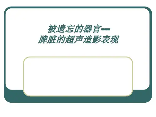 脾脏超声造影