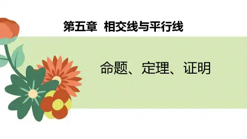 人教版七年级下数学《命题、定理、证明》相交线与平行线PPT课件