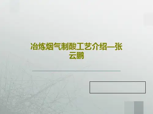 冶炼烟气制酸工艺介绍—张云鹏PPT共46页