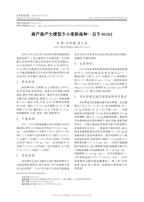 高产稳产大穗型冬小麦新品种—石冬01162