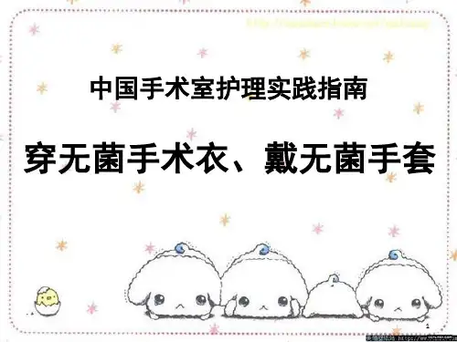 穿无菌衣戴无菌手套(课堂PPT)