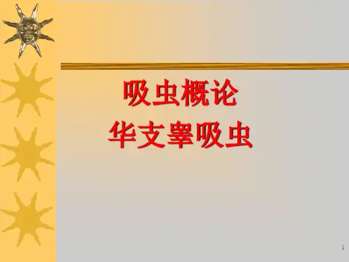 华支睾吸虫ppt课件