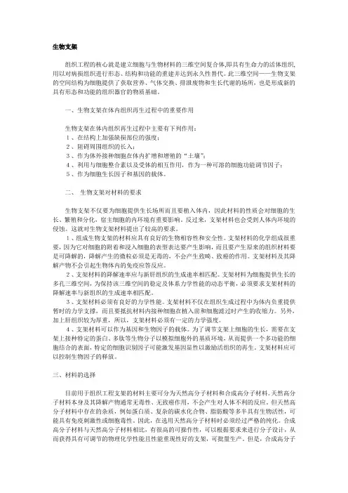 血管化及支架知识