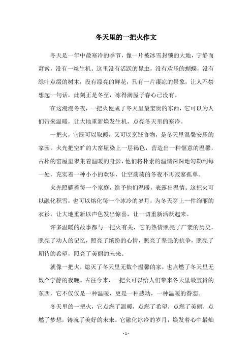 冬天里的一把火作文