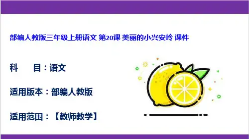 部编人教版三年级上册语文 第20课 美丽的小兴安岭 课件