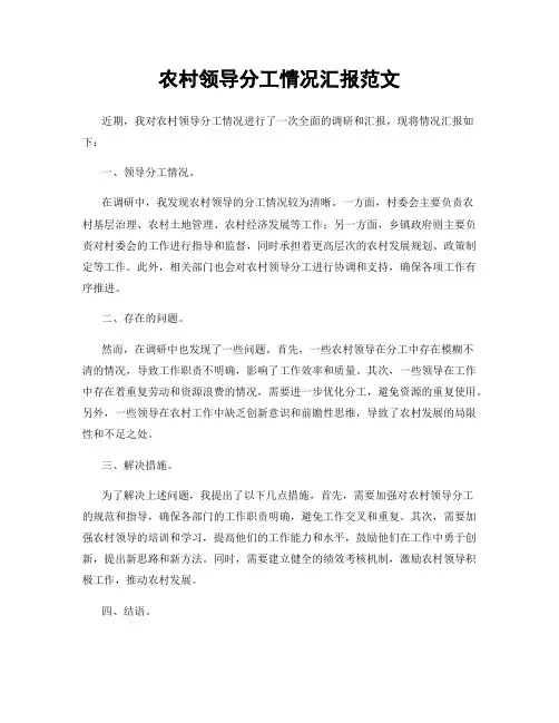 农村领导分工情况汇报范文