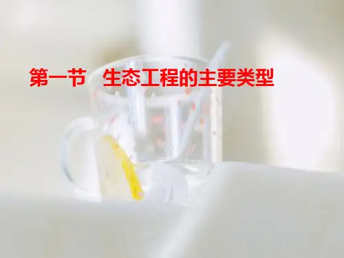 生态工程PPT教学课件(1)