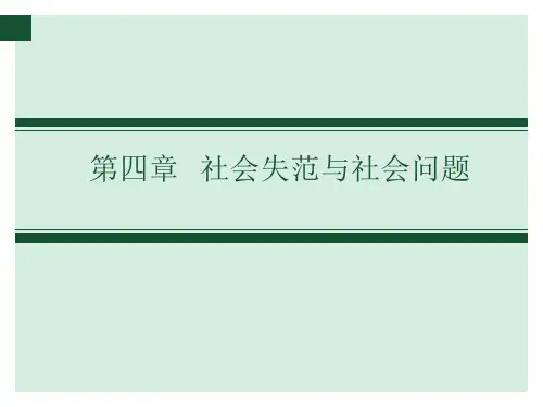 第四章：社会失范与社会问题[24页]