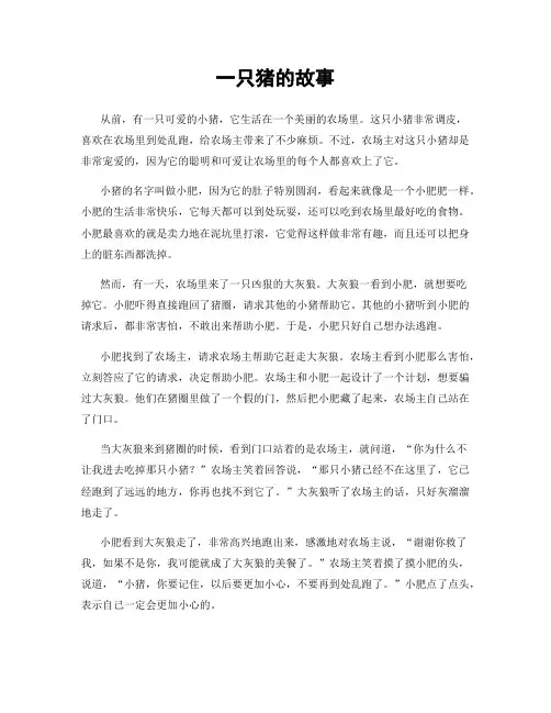 一只猪的故事