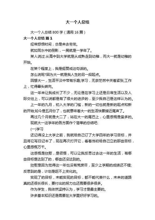 大一个人总结
