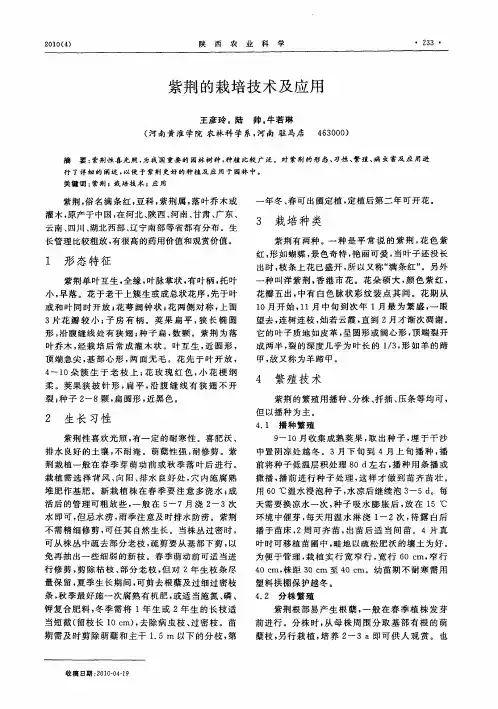 紫荆的栽培技术及应用
