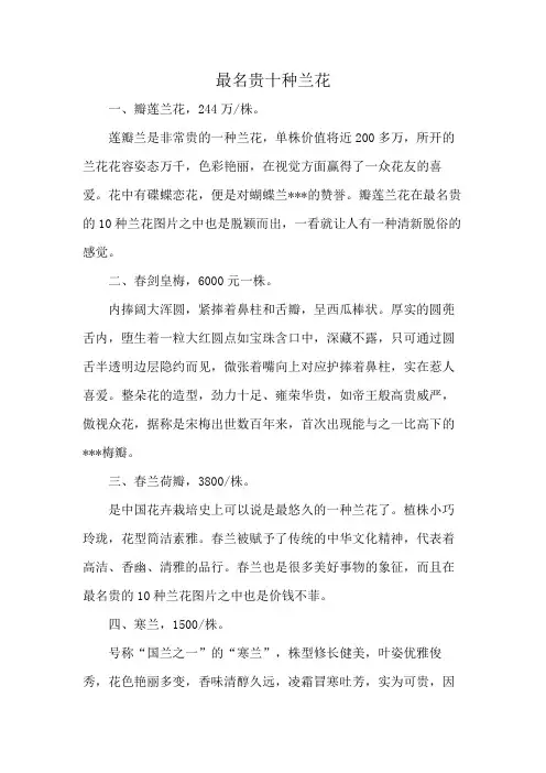 最名贵十种兰花