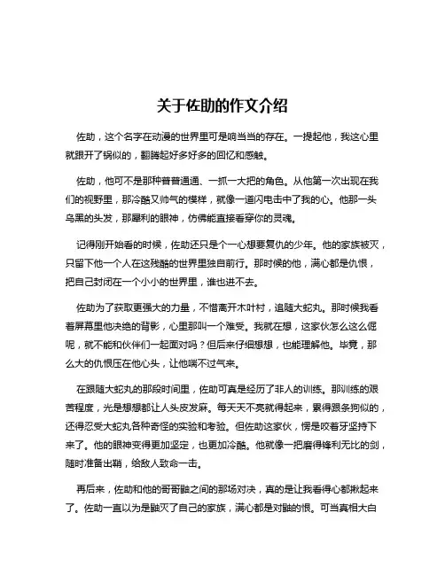 关于佐助的作文介绍