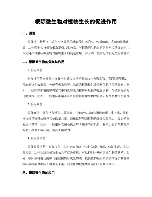 根际微生物对植物生长的促进作用
