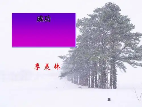 《成功》PPT课件 (共20张PPT)