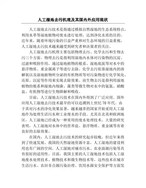 人工湿地去污机理及其国内外应用现状