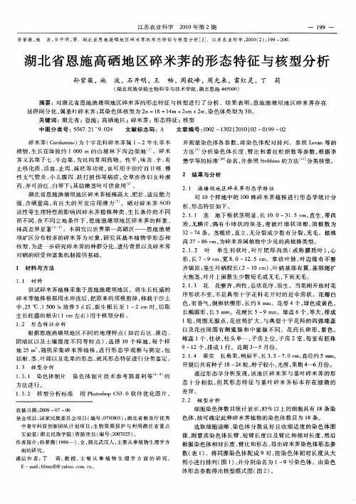 湖北省恩施高硒地区碎米荠的形态特征与核型分析