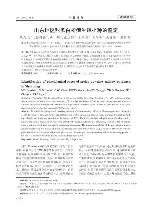 山东地区甜瓜白粉病生理小种的鉴定