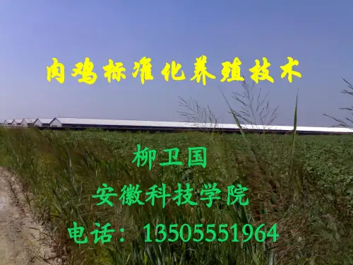 标准化肉鸡生产技术.