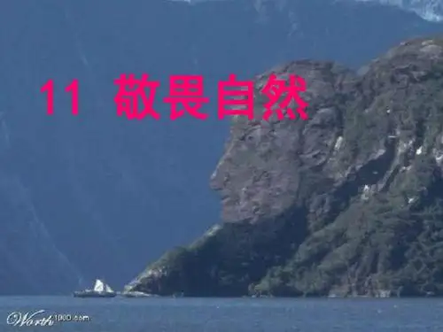 11《敬畏自然》
