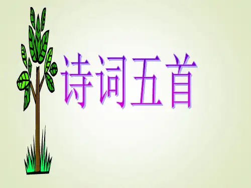 《诗词五首》剖析