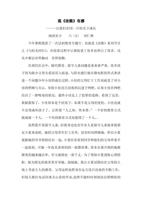 法眼观后感