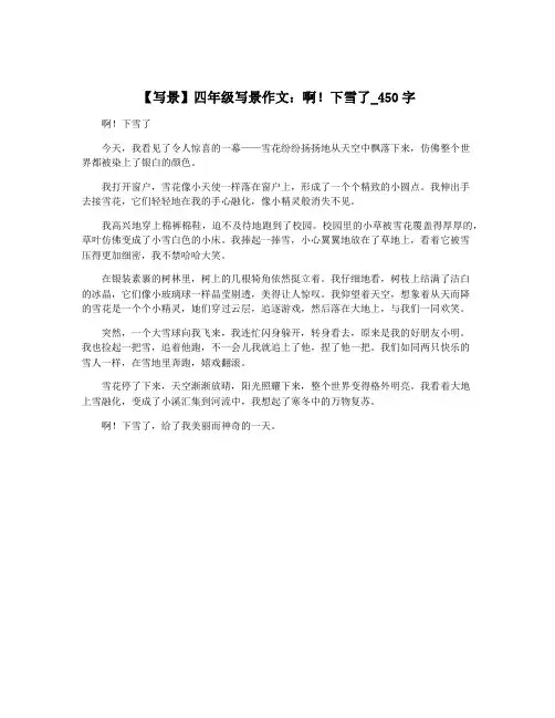 【写景】四年级写景作文：啊!下雪了_450字