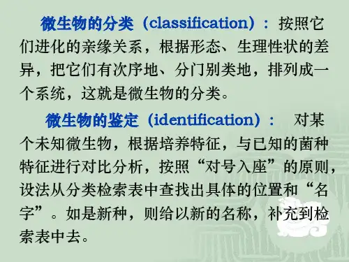 最新微生物分类鉴定PPT课件