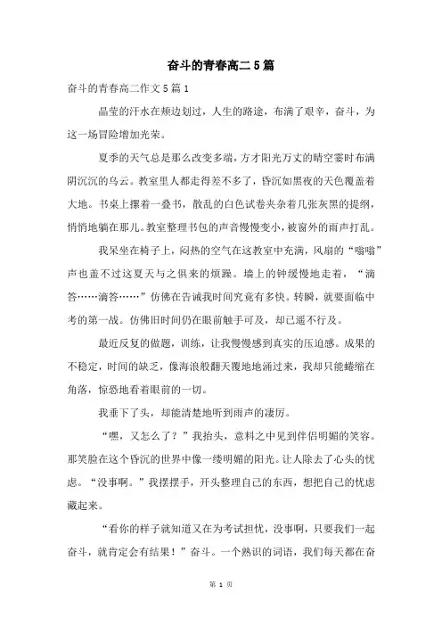 奋斗的青春高二5篇