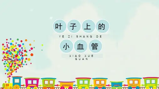 人教版小学二年级美术下册《叶子上的小“血管”》精品课件