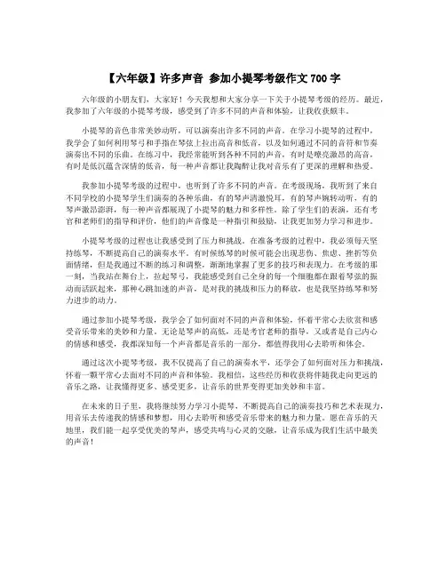 【六年级】许多声音 参加小提琴考级作文700字