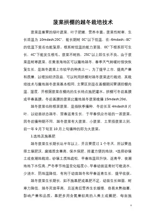 菠菜拱棚的越冬栽培技术