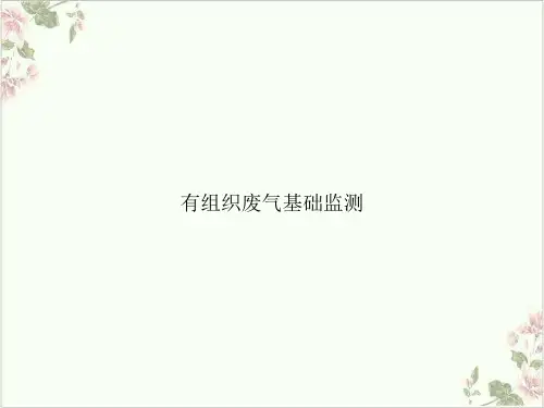 有组织废气基础监测PPT.