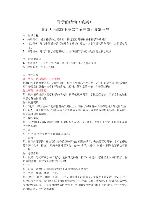 种子的结构教案