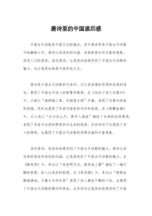 唐诗里的中国读后感