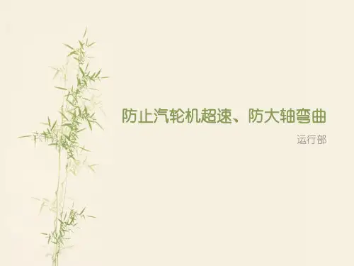 二十五项反措防止汽轮机超速