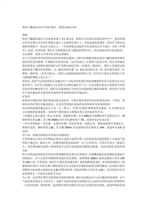 致密气藏地层评价中的矿物学裂缝及构造分析
