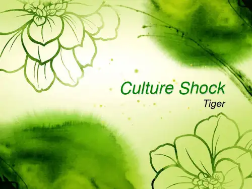 Culture Shock