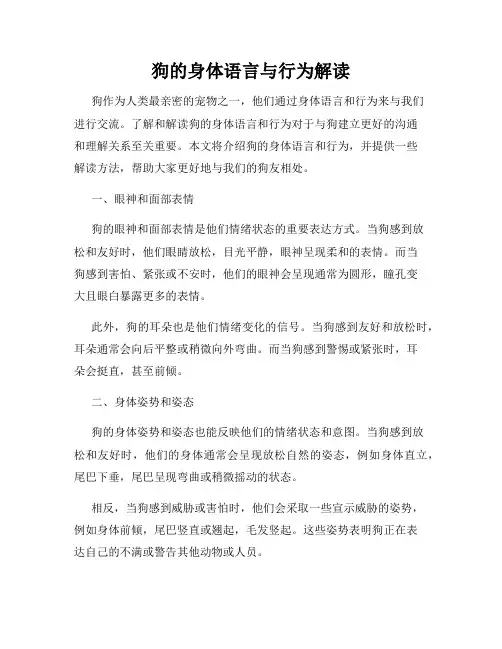 狗的身体语言与行为解读