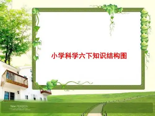 六下科学概念结构图江