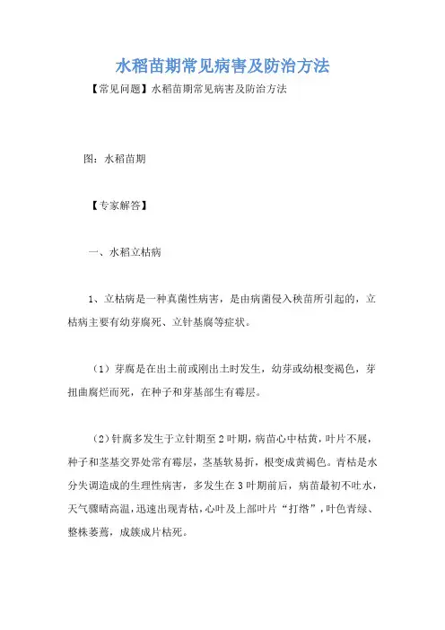 水稻苗期常见病害及防治方法