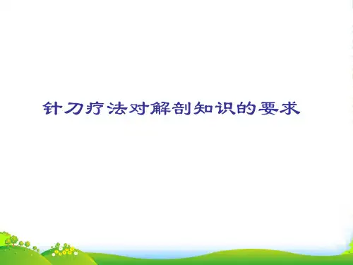 针刀疗法对解剖知识的要求-医学课件