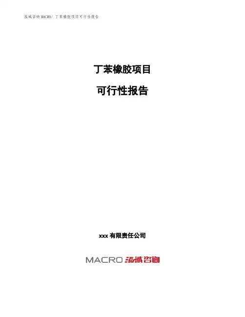 丁苯橡胶项目可行性报告